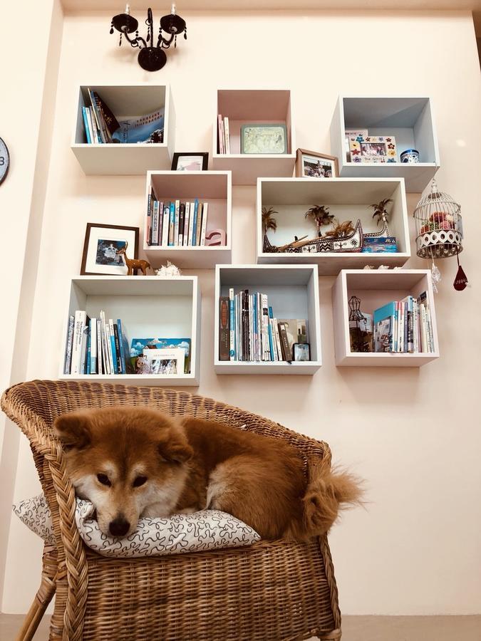 Apartament Straybirds Donghe Zewnętrze zdjęcie